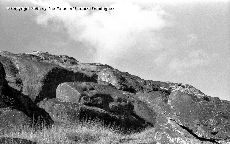 RRI_Cantera_Interior_06.jpg - Easter Island. 1960. Interior slope of Rano Raraku. Reclining moai near the crest of the volcano.